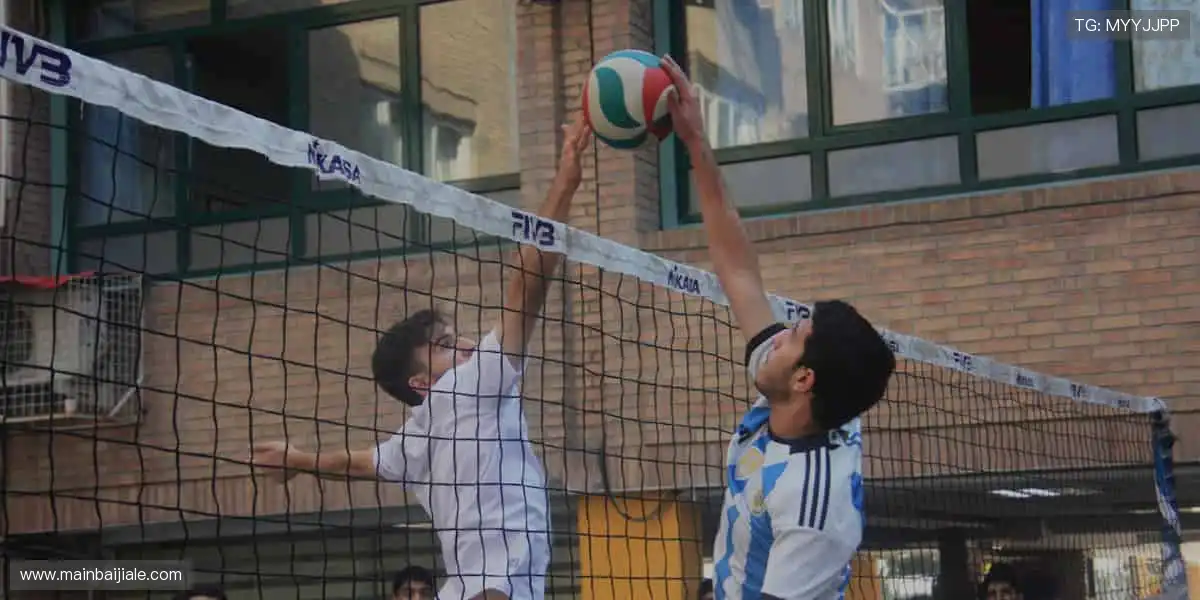 高清网络游戏中心:专业品质覆盖顶级,互动升级更精彩